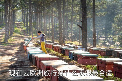 国际旅游穿什么衣服好看女，女生出外游玩的最佳装扮