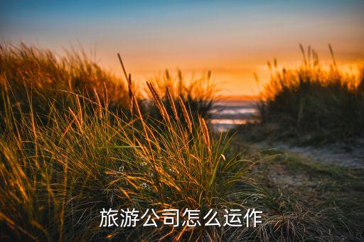 国际旅游社怎么运营的，旅游公司怎么运作