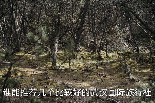 谁能推荐几个比较好的武汉国际旅行社
