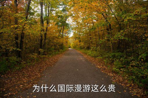 为什么国际漫游这么贵