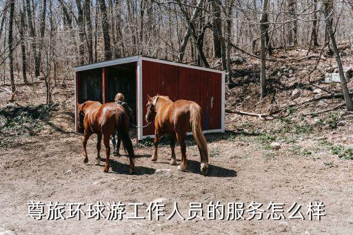 尊旅环球游工作人员的服务怎么样