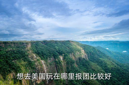 想去美国玩在哪里报团比较好