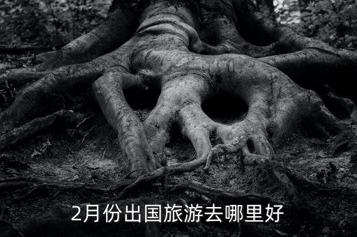 二月份国外哪里旅游好，2月份出国旅游去哪里好