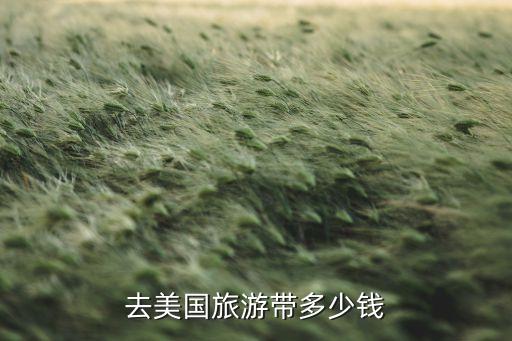 去美国旅游带多少钱