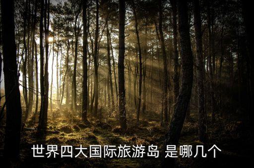 世界四大国际旅游岛 是哪几个