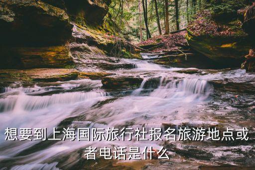 想要到上海国际旅行社报名旅游地点或者电话是什么