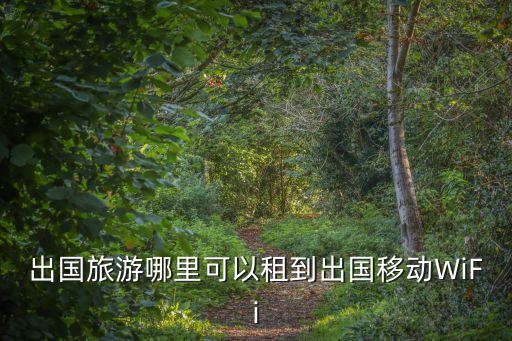 去国外旅游哪里租移动wifi，出国旅游移动WiFi租赁哪家好