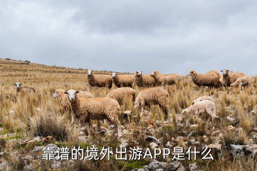 靠谱的境外出游APP是什么