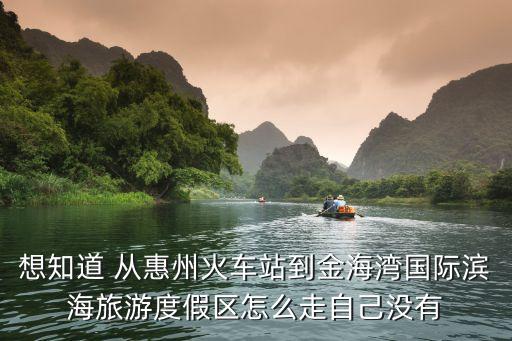 想知道 从惠州火车站到金海湾国际滨海旅游度假区怎么走自己没有