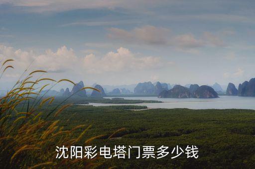 唐山国际旅游岛价格多少钱，沈阳彩电塔门票多少钱