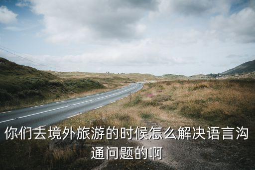 国外旅游怎么交流，请问去国外旅游不会英语的话怎么和别人交流呢