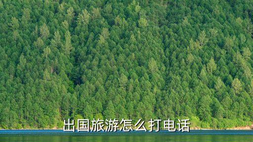 国外旅游如何与导游联系，国外旅游如何打电话与导游联系