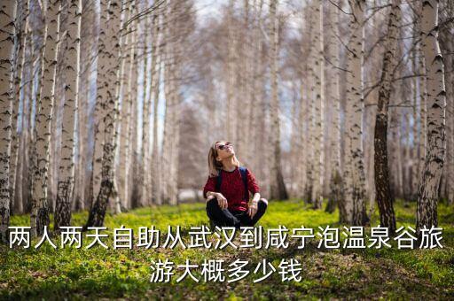 咸宁国际旅游团价格多少，咸宁有旅行社吗