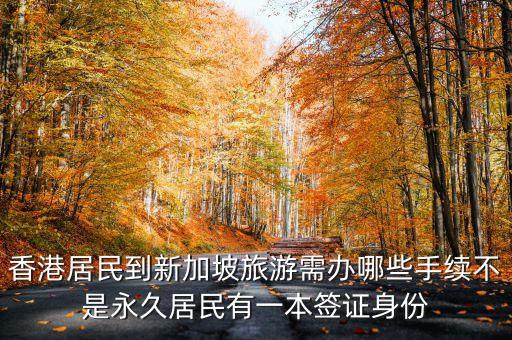 香港居民到新加坡旅游需办哪些手续不是永久居民有一本签证身份
