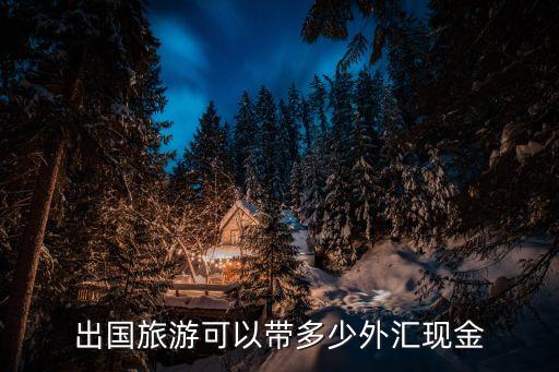 出国旅游可以带多少外汇现金