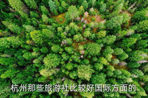 杭州国际旅游公司有哪些，杭州有哪些旅行社