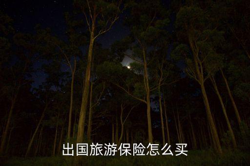 国际签证旅游保险怎么交，出国签保险怎么买