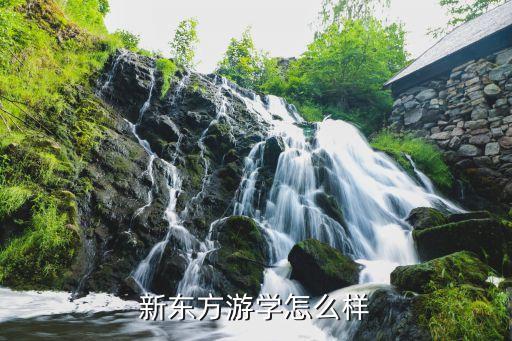 新东方游学怎么样