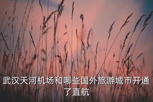 武汉天河机场和哪些国外旅游城市开通了直航