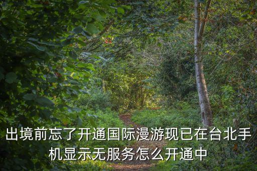 出境前忘了开通国际漫游现已在台北手机显示无服务怎么开通中