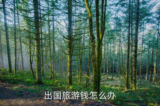 出国旅游钱怎么办
