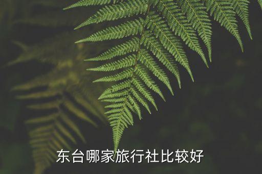 东台哪家旅行社比较好