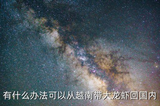 有什么办法可以从越南带大龙虾回国内