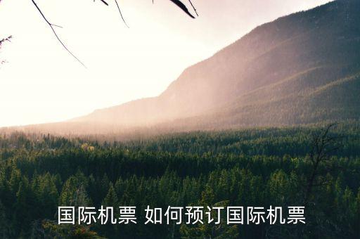 旅游国际机票怎么预订，国际机票怎么购买呢