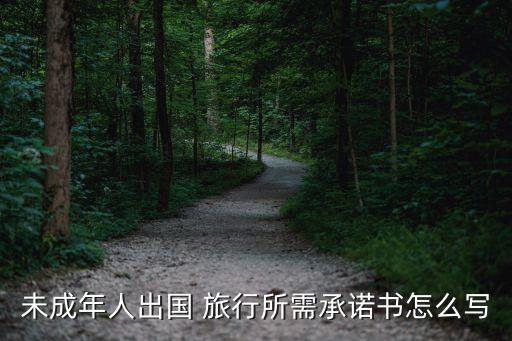未成年人出国 旅行所需承诺书怎么写