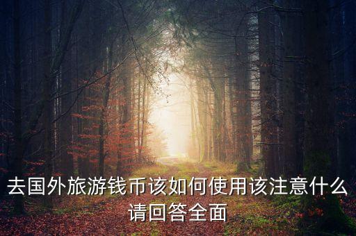 去国外旅游钱币该如何使用该注意什么请回答全面