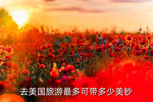 去美国旅游最多可带多少美钞