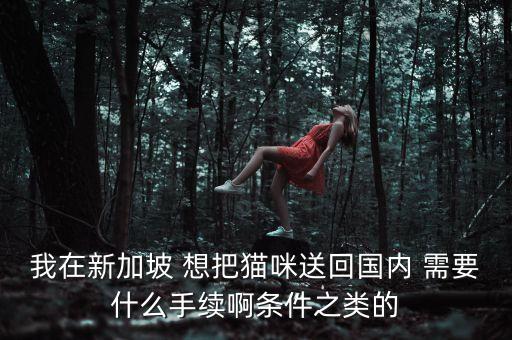 我在新加坡 想把猫咪送回国内 需要什么手续啊条件之类的