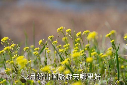 2月份出国旅游去哪里好