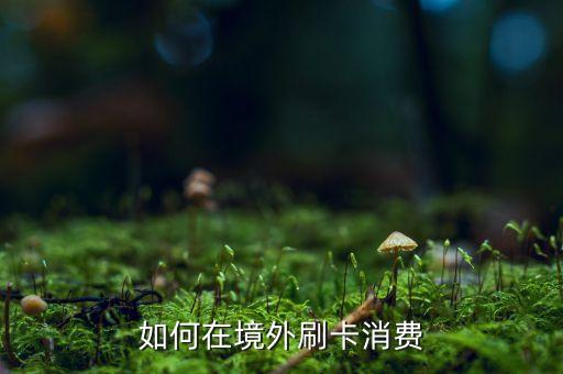 如何在境外刷卡消费