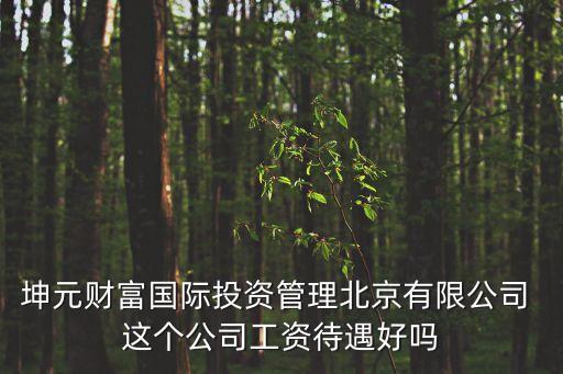 坤元财富国际投资管理北京有限公司 这个公司工资待遇好吗
