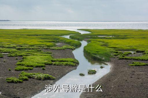 涉外导游是什么
