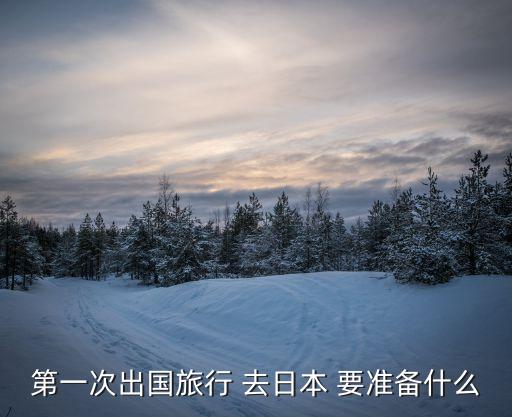 第一次出国旅行 去日本 要准备什么