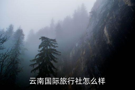 云南国际旅行社怎么样