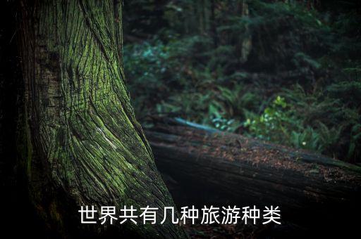 世界共有几种旅游种类