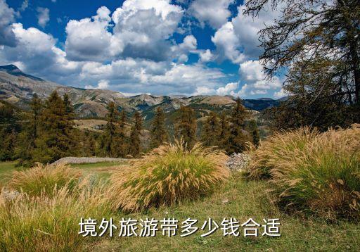 境外旅游带多少钱合适