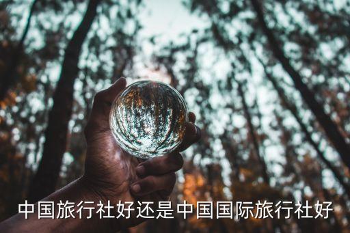 国际旅游和国内哪个好，出国游好还是国内游好