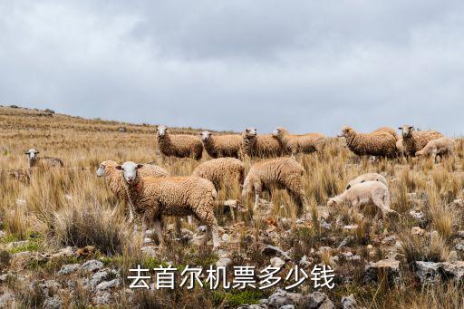 国外旅游飞机票多少钱一张，去美国大约机票多少钱