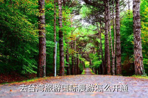 台湾旅游如何开通国际漫游，手机在台湾怎样开通国际漫游
