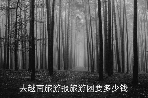 去越南旅游报旅游团要多少钱