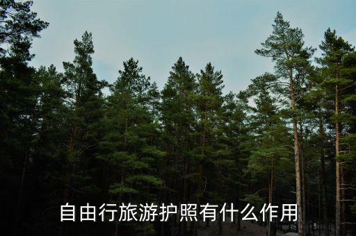 自由行旅游护照有什么作用