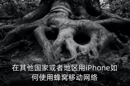 在其他国家或者地区用iPhone如何使用蜂窝移动网络