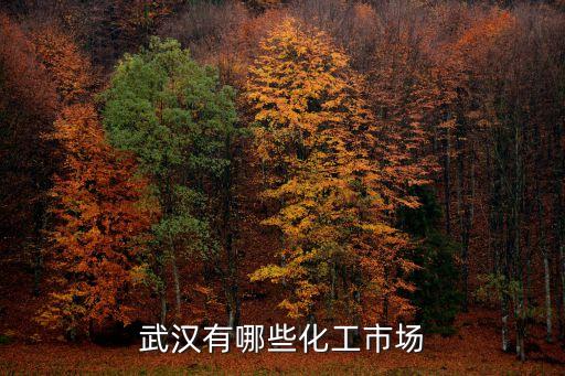 武汉恒大国际旅游城有哪些，武汉有哪些化工市场
