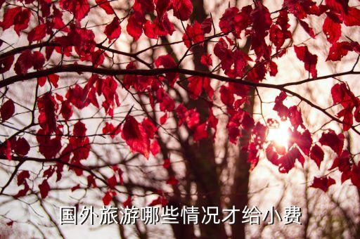 国外旅游哪些情况才给小费