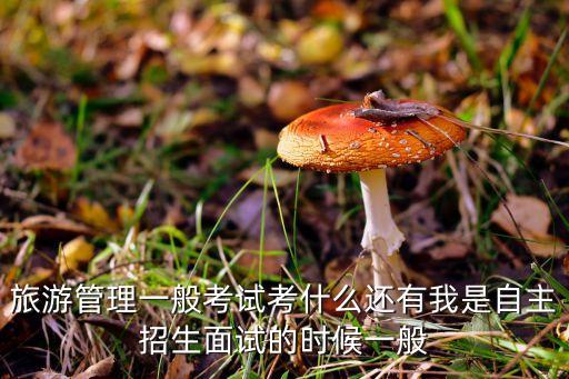 旅游管理一般考试考什么还有我是自主招生面试的时候一般