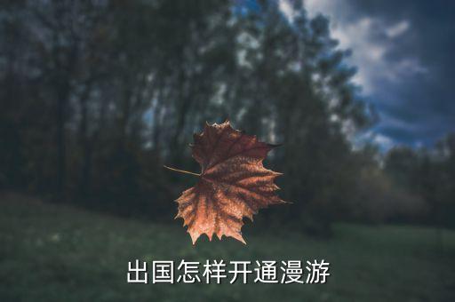出国怎样开通漫游